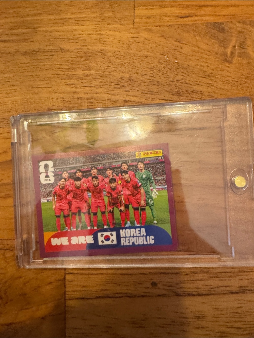 FIFA, World Cup Panini sticker